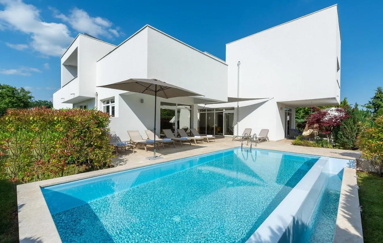 Luxury Villa Kate With Pool In Zminj
